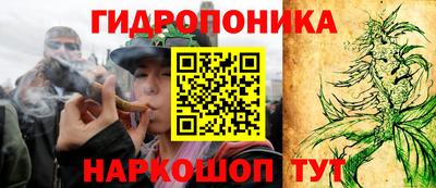 твердый Пушкино