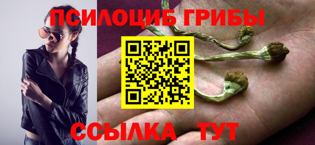 Галлюциногенные грибы GOLDEN TEACHER  Вход с VPN  закладка  Оренбург 